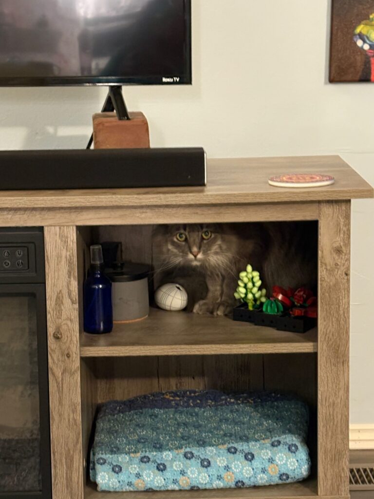 EstateCat