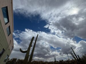 IMG_3493