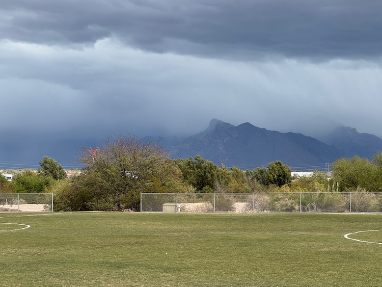 All Quiet on the Desert Front
